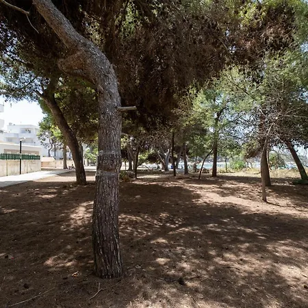 La Playa Rivabella Апартаменты *